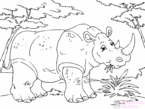 rinoceronte imagen