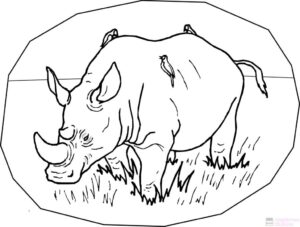 rinoceronte para dibujar scaled 1