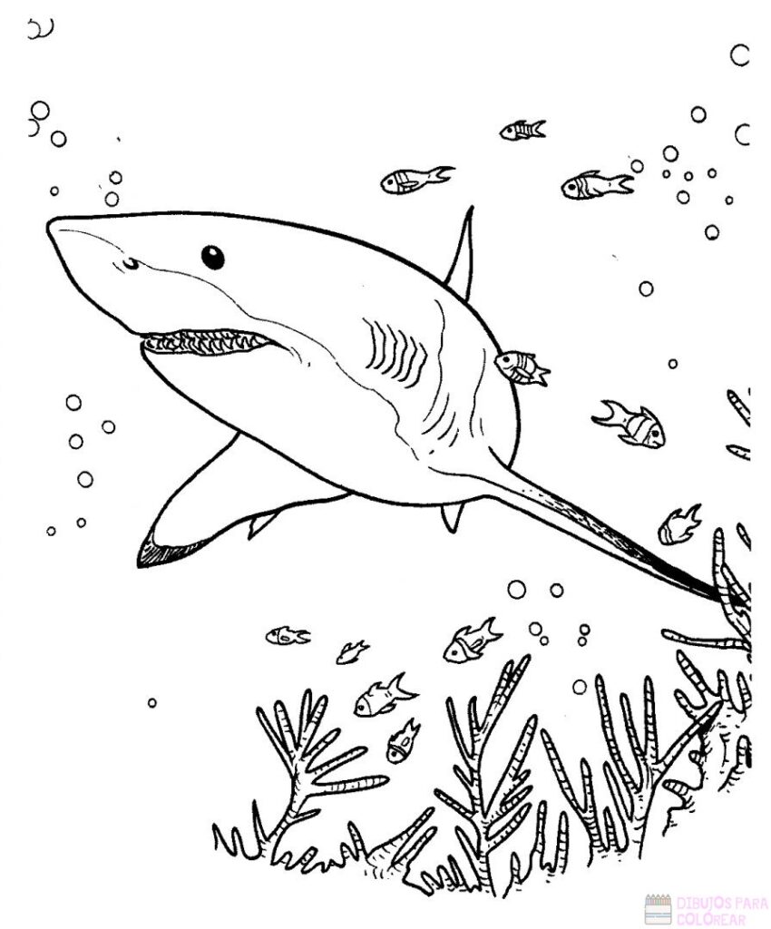 ????【+2750】Los mejores dibujos de Tiburones para colorear ⚡️