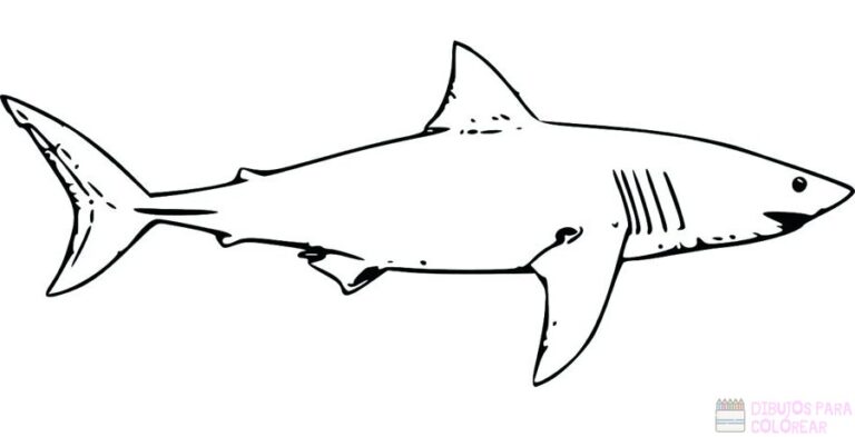 Los Mejores Dibujos De Tiburones Para Colorear Dibujos