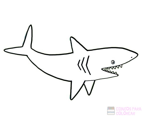 🥇【+2750】Los mejores dibujos de Tiburones para colorear ⚡️