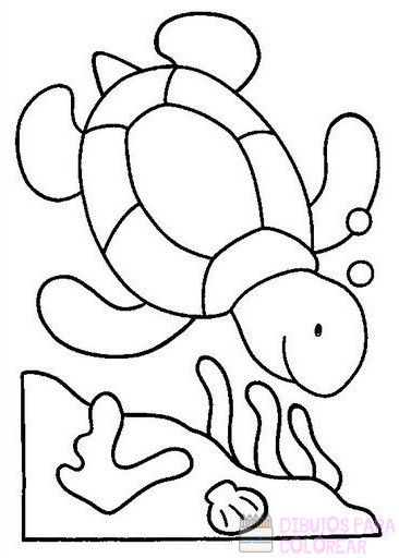  🥇【  】Los mejores dibujos de Tortugas para colorear ⚡️