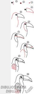 tucan para imprimir